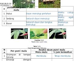 60 desain masjid minimalis modern sesuai dengan syariat islam via calonarsitek.com. Q4d0vkv8hhalom