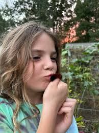 DWP Festival Lineup and Singer