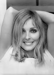 Sharon Tate's life in Verona and Vicenza, Italy, in the 1950s