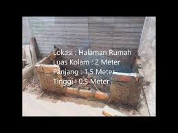 Proses Pembuatan Kolam Ikan Kaca Depan Minimalis Tips Ikan Sehat Pake Pelapah Pisang Youtube Kolam Ikan Kolam Ikan