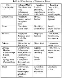 Connective Tissue Types Anatomy And Physiology Tissue Types Anatomy And Physiology Textbook