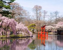 Image of Brooklyn Botanic Garden, New York City
