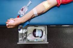 Donor Darah: Manfaat, Prosedur, dan Syarat - Hello Sehat