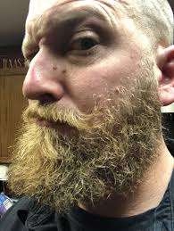 Blonde beard comes out more under fluorescent lights. : r/beards