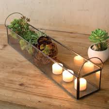 Flume Candle Terrarium Terrarium Candle Painted Fox Home Terrarium