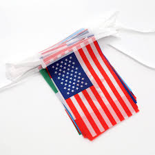 Amazon.com: 36 North And South American Countries Flags,Country String Flag  Banner,Countries On Every Continent Flag,World Cup Sports Events  International Festival. : Office Products