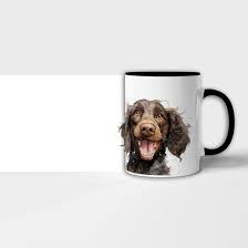 Image result for americký vodní španěl