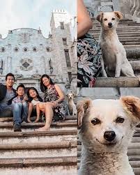 Stray puppy 'sneaks' in family photo. ❤️ The little one 'snuck' into the  photos of a family that was visiting in Guanajuato. According to the user  who uploaded the publication, the family