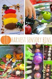 Kitchen sensory bin activities for kindergarten. Top 10 Harvest Sensory Bins Sugar Spice And Glitter