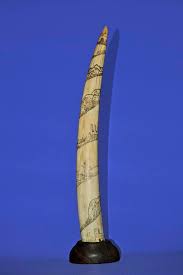 Scrimshaw Walrus Tusk, 19th Century | National Museum of American History