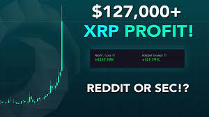 Xrp will be a profitable investment in the next 1 year, giving hodlers a good return. 127 000 Profit On Xrp Ripple Labs File Comeback To Sec Reddit Pump And Dumps Planned Youtube