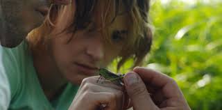 Effetto domino (2019) di Alessandro Rossetto