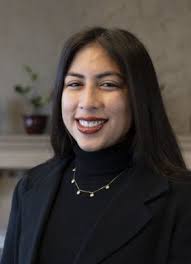 Civic Fellows Program