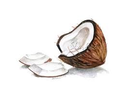 Fruit Art Painting Of Coconut Still Life Food Print Watercolor Painting Fine Art Home Decor Realistic Kitch Fruit Painting Art Artist Painting Fruit Painting