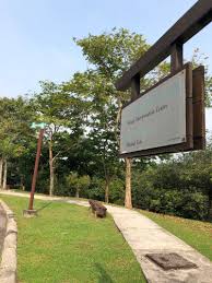 Tour impressive landmarks like putrajaya lake and perdana putra as part of this informative afternoon. Putrajaya Wetland Park Walk Kajang Malaysia Pacer