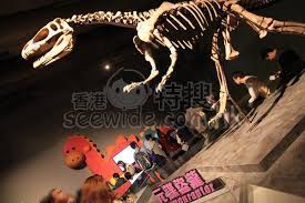 We would like to show you a description here but the site won't allow us. å·¨é¾å‚³å¥‡ é¦™æ¸¯ç§'å­¸é¤¨ å°–æ²™å'€åšç‰©é¤¨ å·¨é¾å±• Seewide