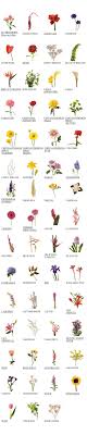 Flower Glossary Plants Flowers Flower Arrangements