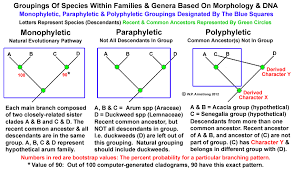 What is evolution by natural selection? Evolution