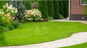 Troubleshoot Lawn Damage And Diseases