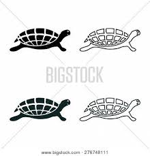 Turtle Tortoise Icon Vector Photo Free Trial Bigstock Turntoface(simpleturtle turtle) method to turn to face another simple turtle. turtle tortoise icon vector photo