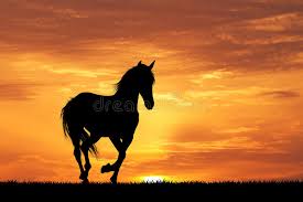 Kostenlose vektor silhouetten für den kommerziellen gebrauch in.svg und.png format mit. Galoppierendes Pferd Bei Sonnenuntergang Stock Abbildung Illustration Von Saugetier Tier 83419064