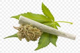Medical Cannabis Cannabis Smoking Legality Of Cannabis Drug Png 1024x680px Cannabis Bong Cannabis Consumption Cannabis Industry Weed png & psd images with full transparency. medical cannabis cannabis smoking