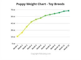 Labrador Puppy Growth Online Charts Collection