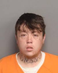 Arrest Report for November 8