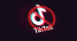 How to use tik tok: Senate Bill Seeks To Ban Chinese App Tiktok From Government Work Phones Techcrunch