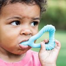 Amazon.com : green sprouts Molar Teether made from Silicone