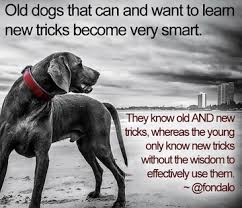 Indeed They Do Creativity And Innovation Marketing Trends Digital Marketing