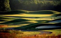 Image result for who designed aeropines golf course