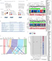 These cancers tend to grow and spread faster than other breast cancers, but are much more likely to respond to treatment with drugs that target the her2 protein. Plos Computational Biology Interactions Between The Tumor And The Blood Systemic Response Of Breast Cancer Patients