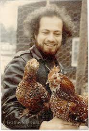 Maybe you would like to learn more about one of these? Belgian D Uccle Bantams