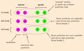 fundamental particles এর চিত্র ফলাফল