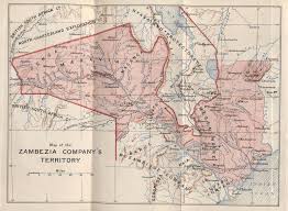 Image result for Pavetta gurueensis