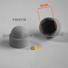Cache de recouvrement en plastique noir 25 pc. 100 Pieces Cache Vis Ecrou De Protection M10 Clef De 17 Mm Ajile Fah317 L Plastique Gris Bazis Az
