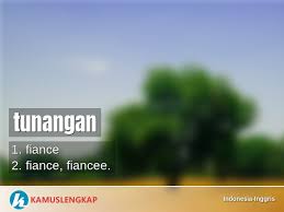 Ada banyak situasi yang mengharuskan. Selamat Tunangan Bahasa Inggrisnya Apa