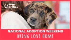 Maybe you would like to learn more about one of these? Dog Adoption Events Albuquerque