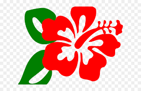 Check spelling or type a new query. Transparent Hawaii Flower Png Hibiscus Clipart Black And White Png Download Vhv