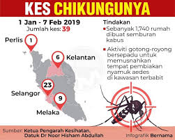 Kitaran hidup nyamuk aedes cara membiak nyamuk aedes. Pin Di Infografik