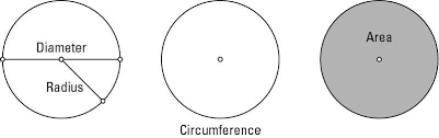 radius diameter circumference and area of circles dummies