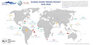 To strike at the precise point or time. Global Shark Trends Project Iucn Ssc Shark Specialist Group