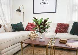 Wild Interiors How To Care For Calathea Wavestar Calathea Interior Care