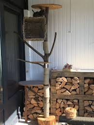 Outdoor Kratzbaum Diy Katzenhaus Outdoor Kratzbaum Katzen Haus
