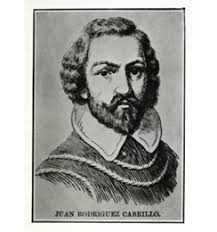 A Diamond in An Emerald Forest;