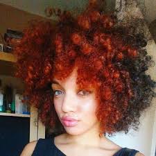 Wordpress Installation Natural Hair Color Natural Hair Styles Hair