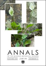 Image result for Araceae