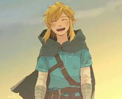This mod replaces the hero of hyrule with linkle from hyrule warriors! Pinterest Jadynavery Legend Of Zelda Memes Legend Of Zelda Breath Legend Of Zelda