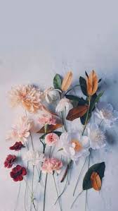 Cute wallpaper for phone iphone background wallpaper flower wallpaper cartoon wallpaper wallpaper desktop iphone wallpaper drawing hand wallpaper phone background patterns kawaii. Cute Aesthetic Wallpaper Flowers Hd Wallpaper